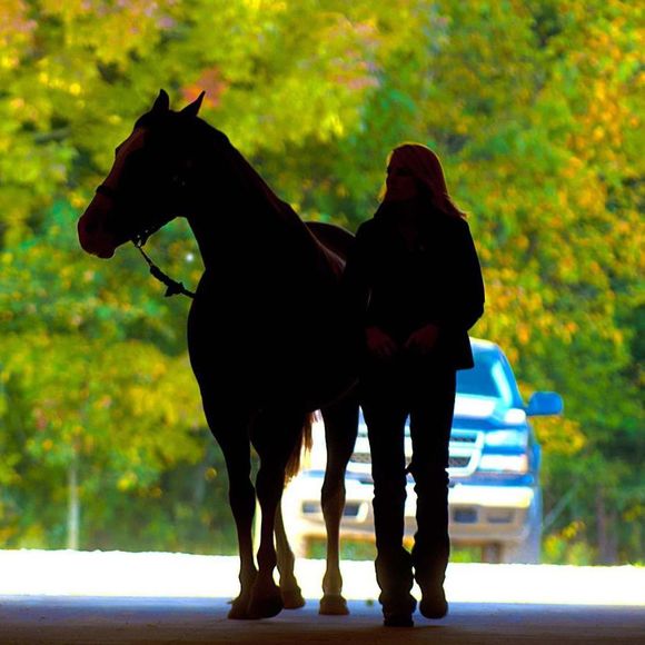 Meet your Posher, Ann - Picture 1 of 1